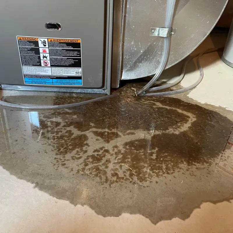 Appliance Leak Cleanup in Munster, IN